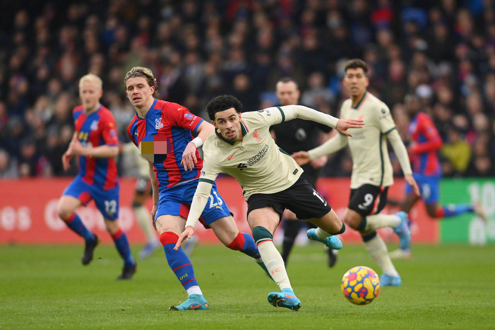 战不仅是贝 战不仅是贝